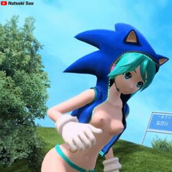 3d ass bouncing_ass breasts crypton_future_media hatsune_miku nutsuki_suu official_alternate_costume project_diva sega sonic_the_hedgehog_(cosplay) tagme