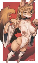 absurd_res anthro big_breasts breasts brown_body brown_eyes brown_fur brown_hair canid canine clothing collar eipelppa female fox fur furry genitals hair hi_res huge_breast iepelppa iparuputsua ipelppa large_breasts legwear looking_at_viewer mammal massive_breasts nipples original pussy solo stockings