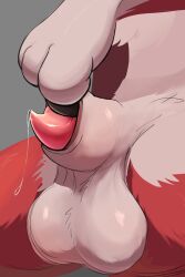 2:3 animal_genitalia animal_penis anthro balls bodily_fluids canid canine canine_genitalia canine_penis claws generation_7_pokemon genital_fluids genitals lycanroc male mammal nintendo penis pokemon pokemon_(species) precum sheath sheath_play solo toshabi