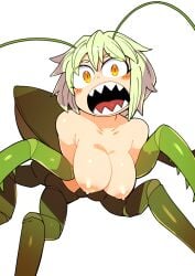 breasts character_request insect_girl ishuzoku_reviewers masha monster_girl nipples