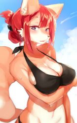 10:16 1girls anthro big_breasts bikini bodily_fluids breasts canid canine canis cleavage clothed clothing digital_media_(artwork) domestic_dog female female_only kemono looking_at_viewer mammal navel open_mouth outside purple_eyes red_hair shaded short_hair sky solo suurin_(ksyaro) sweat swimwear wide_hips