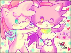 amy_rose blaze_the_cat breasts cat color cute cyan_eyes exposed_breasts eyes female female_only front_view fur furry furry_breasts hedgehog interspecies little_cartoon multiple_females pink_fur sonic_(series) vulva wink yellow_eyes yuri