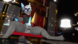 anthro anthro_only blue_markings canid canine cute fox fur furry furry_only gayspacefox grey_fur male male_only rexouium tagme twitter url vr_media vrchat vrchat_avatar white_belly white_hair