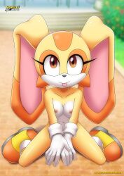 cream the rabbit from sega by bbmbbf