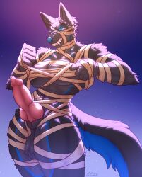abs animal_genitalia animal_penis anthro artist_name balls big_balls big_breasts big_penis blue_eyes blue_markings blue_nose bluetashi breasts canid canine canine_genitalia canine_penis canis clothing costume digital_media_(artwork) erection eyebrows fighting_pose fist fluffy fluffy_tail fur genitals gradient_background grey_body grey_fur gynomorph halloween halloween_costume hi_res holidays intersex knot knotted_penis looking_at_viewer mammal markings mummy_costume mummy_wrappings muscular muscular_gynomorph muscular_intersex muscular_thighs null_(nullthewolf) penis pointy_ears portrait pose prick_ears raised_fist raised_hand saggy_balls sheath simple_background snarling solo tail teeth text thick_thighs three-quarter_portrait wolf