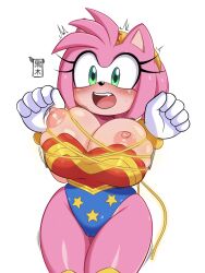 amy rose from dc by kurokiart97