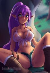 shantae (character) from shantae by leonart