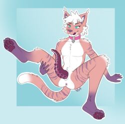 anthro anus ashley_amy_may_(obey138) bell bell_collar blue_eyes bodily_fluids collar collar_only colored crotch_tentacles digital_drawing_(artwork) digital_media_(artwork) domestic_cat felid feline felis fur genital_fluids genitals hi_res leaking_precum male male_only mammal nude penis precum precum_on_own_penis precum_on_penis presenting presenting_anus purple_body purple_fur purple_tentacles pussy simple_background solo spread_legs spreading tagme tapering_tentacles tentacle tentacles_from_penis tongue tuffyowo unusual_anatomy unusual_genitalia unusual_penis white_body white_fur