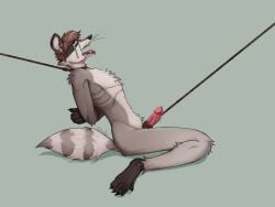 1boy anthro anthro_only asphyxiation bodily_fluids bondage bound crying gore hi_res lil_beetle male male_only male_ryona mammal procyonid raccoon restraints rope rope_bondage snuff solo tears tongue torture