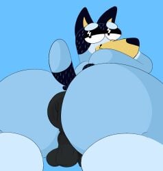 anthro anus ass balls bandit_heeler big_butt bluey_(series) canid canine genitals hi_res looking_at_viewer looking_back male mammal puffy_anus raised_tail simple_background solo solo_focus stankbank tail