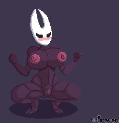 1girls anthro areolae barefoot big_breasts blush breasts completely_nude completely_nude_female female female_only full_body hollow_knight hornet_(hollow_knight) mrdraven naked naked_female nipples nude nude_female pixel_art pussy solo solo_female squatting