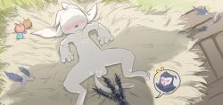 ku (ori) from ori (series) by ptkd