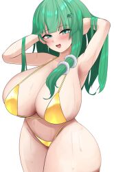 sanae kochiya from touhou by shinonome zakuro