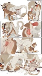 2024 absurd_res animal_genitalia animal_penis anklet anus avian_feet balls balls_on_face beak big_balls big_penis bodily_fluids brown_body brown_fur butt choker claws cum cum_expulsion cum_from_vagina cum_in_mouth cum_in_vagina cum_inside cum_on_belly cum_on_body cum_on_chest cunnilingus digital_media_(artwork) digitigrade duo ear_piercing felid female female_feral female_penetrated feral feral_on_feral feral_penetrated feral_penetrating feral_penetrating_feral from_behind_position from_front_position fur genital_fluids genitals hi_res interspecies jewelry knot knotted_penis knotting larger_male lion male male/female male_feral male_penetrating male_penetrating_female mammal multicolored_body multicolored_fur necklace oral pantherine penetration penis piercing quadruped sex shebeast simple_background size_difference smaller_female smaller_penetrated sweat sweaty_butt tan_body tan_fur toe_claws tongue tongue_out vaginal vaginal_knotting vaginal_penetration vaginal_tugging white_background white_balls white_body white_fur wingless_gryphon