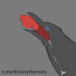 animal_genitalia animal_penis animated avian beastiality bird blue_eyes bodily_fluids canid canine_genitalia canine_penis corvid corvus_(genus) crow cum cum_in_mouth cum_inside dewlap_(anatomy) drinking drinking_cum duo einin fellatio feral feral_on_feral feral_only genital_fluids genitals gular_sac irrumatio knot knotting mammal neck_bulge oral oral_knotting oral_penetration oscine passerine penetration penile penis penis_in_mouth sex throat_swabbing tongue