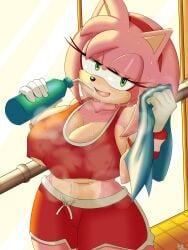 amy rose from sega by saeki makai