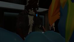 1boy1girl 3d anthro anthro_female big_breasts big_penis canine_penis cock equine female furry furry_female furry_only male male/female mammal my_little_pony pussy rainbow_dash_(mlp) self_upload sex tagme vaginal_penetration vaginal_sex vrchat vrchat_avatar vrchat_model