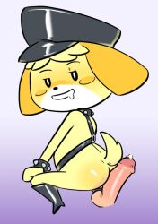 animal_crossing animal_tail ass ass bracelet hat isabelle_(animal_crossing) nintendo obscurabuns penis precum spiked_bracelet tail yellow_fur