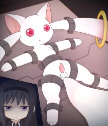 akemi_homura animal_genitalia animal_penis balls bound duo female feral fur genitals hi_res human incubator_(puella_magi) km-15 kyuubee mahou_shoujo_madoka_magica male mammal penis puella_magi red_eyes