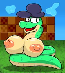 2_colors_skin big_breasts big_nipples breasts cartoony clouds flaconart_(artist) green_scales hat lucy_swallows original_character simple_background snake solo_female sonic_robo_blast_2