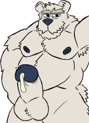 1boy 2023 amideo balls bara bear club_penguin cum genitals herbert_p._bear hi_res male male_only mammal penis polar_bear solo ursine white_background