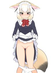 alternate_costume animal_ears black_dress blonde_hair blush bow bow_panties breasts brown_hair closed_mouth clothes_lift commentary dress dress_lift ears_down embarrassed enmaided feet_out_of_frame female fennec_(kemono_friends) floppy_ears fox_ears fox_tail frilled_dress frilled_gloves frills gloves highres kemono_friends lifted_by_self long_sleeves looking_at_viewer maid maid_headdress medium_breasts multicolored_hair neckerchief ollie_(ollie_stratos) panties panty_pull pussy red_bow red_neckerchief short_hair simple_background solo tail thigh_gap uncensored underwear white_background white_gloves white_hair white_panties