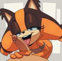 1girls blue_eyes brown_fur female female_focus furry high_resolution licking licking_penis medium_breasts orange_fur partial_male penis pov sega sonic_(series) sonic_boom sonic_the_hedgehog_(series) sticks_the_badger thehumancopier