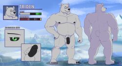 2023 anthro ass back_muscles balls bara-diction bear belly biceps biped black_sclera color_swatch digital_media_(artwork) ear_piercing ear_ring english_text erection eyebrows eyewear flaccid fur genitals glasses green_eyes grey_body grey_fur hi_res humanoid_genitalia humanoid_penis male male_only mammal model_sheet musclegut muscular muscular_anthro muscular_male navel nipples nude pecs penis piercing polar_bear pose pubes ring_piercing smile solo tail text triden_(sleepytriden) ursine vein veiny_penis