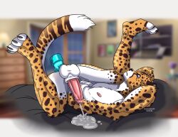 anthro big_penis bodily_fluids cheetah cum cumshot dildo dildo_insertion ejaculation erection felid feline flaccid genital_fluids genitals hi_res male mammal orgasm penis prostate prostate_cumshot prostate_orgasm prostate_play prostate_stimulation sex_toy sex_toy_insertion solo solo_focus