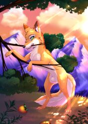 animal_genitalia balls canid canine dipstick_ears eye_scar facial_scar feral food fox fruit fully_sheathed fur genitals grape green_eyes hi_res male mammal mountain multicolored_ears on_hind_legs orange_body orange_fur plant rick_(rukifox) rukifox scar sheath sky sunset tree