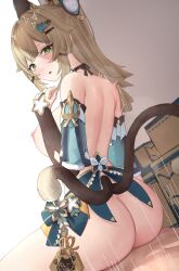 Kirara (Genshin Impact) Rule 34 Image