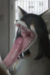 2023 anthro anthro_focus canid canine censored digital_media_(artwork) duo fangs female female_anthro female_focus fox fur genitals hair hi_res humanoid_genitalia humanoid_penis kemono licking male male/female male_anthro mammal mayo_the_fox mosaic_censorship multicolored_body multicolored_fur nude open_mouth oral penile penis penis_lick sex sharp_teeth solo_focus teeth tongue tongue_out tonkatsumayo