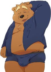 0ottotto0 2023 anthro bear black_nose brown_body bulge closed_eyes clothing hi_res kemono male male_only mammal overweight overweight_male shirt simple_background solo topwear underwear white_background