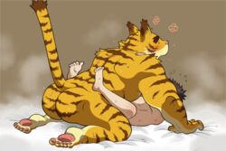 41raco anal anal_sex anthro anthro_on_human anthro_on_male ass duo feline gay hiroyuki human human_on_anthro interspecies kirupi male male_on_anthro male_only mammal morenatsu penetration shirako tiger torahiko_ooshima yaoi