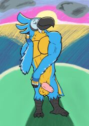 anthro avian balls breath_of_the_wild foreskin genitals hi_res kass_(tloz) kass_(zelda) male muscular muscular_male nintendo nude penis rito sea solo speence_(artist) sunset talons the_legend_of_zelda water winged_arms wings