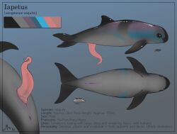 2021 animal_genitalia anus cetacean digital_media_(artwork) english_text erection feral genital_slit genitals hi_res iapetus_(magpi) macro magpi male mammal marine model_sheet multicolored_body penis pink_penis slit solo tapering_penis text vaquita