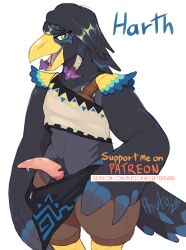 anthro avian bird breath_of_the_wild clothing corvid corvus_(genus) crop_top crow hair hi_res long_hair male nintendo oscine passerine phytophile rito shirt solo the_legend_of_zelda topwear