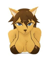 agentekebab big_breasts blue_eyes breasts brown_hair feline female female_only fur furry furry_breasts furry_ears furry_only looking_at_viewer mirai oc original original_artwork original_character solo