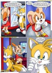 chao_(sonic) cheese_the_chao cream_the_rabbit male palcomix sega sonic_(series) tagme tails tails_the_fox tailsko whybbmbbf