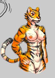 abs anthro biceps black_stripes camel_toe felid female frown genitals hand_on_hip hi_res humanoid mammal muscular muscular_female nipples orange_body pantherine pussy red_eyes shybird solo standing stripes tail tiger white_body