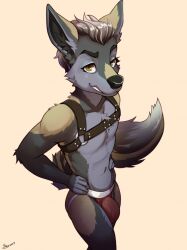 anthro brown_eyes bulge canid canine canis fur hi_res jockstrap looking_at_viewer male mammal multicolored_body multicolored_fur smile solo two_tone_body two_tone_fur wolf yildunstar