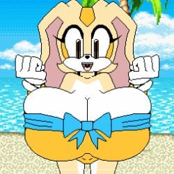 :) alternate_version_available animated beach bikini bouncing_breasts breasts cleavage cream_the_rabbit female female_focus female_only huge_breasts long_ears long_eyelashes low_quality no_nipples pixel_animation pixel_art rabbit sega solo_female sonic_(series) sonic_advance_2 subjectdie_(artist) top_heavy white_gloves young