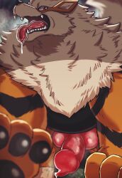 2023 arcanine black_body black_fur black_pawpads bodily_fluids erection fangs feral fur generation_1_pokemon genital_fluids genitals knot looking_at_viewer male male_only multicolored_body multicolored_fur nintendo nullraihigi open_mouth orange_body orange_fur pawpads penis pokemon pokemon_(species) precum saliva saliva_on_tongue solo tan_body tan_fur teeth tongue