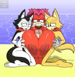 1girls 2boys 2boys1girl anthro archie_comics big_breasts breast_play breasts canid canine canis double_barrel_paizuri echidna female frottage frotting fur furry furry_only futanari genitals group group_sex huge_breasts interspecies lien-da male male/female mammal mklancer00 monotreme nipples nude paizuri penis sega self_paizuri sex sonic_(series) sonic_the_hedgehog_(archie) sonic_the_hedgehog_(comics) sonic_the_hedgehog_(series) straight threesome trio wolf