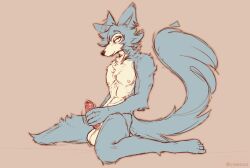 anthro balls beastars bodily_fluids canid canine canis foreskin genital_fluids genitals lawyerdog legoshi_(beastars) looking_at_viewer male male_only mammal masturbation nude on_ground penis precum solo solo_focus wolf