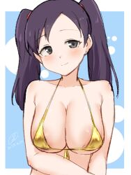 1girls 9rimson alternate_breast_size areola_slip big_breasts blush breasts female kido_shuuko large_breasts light-skinned_female mega_man mega_man_battle_network smile solo twintails upper_body