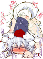 momiji inubashiri from touhou by narumiya