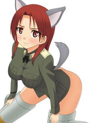 animal_ear ass blush clothing medium_breasts minna-dietlinde_wilcke strike_witches tail