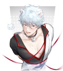 arms_behind_back bite_mark blush bondage breath cat_ears catboy collar cum cum_on_body cum_on_chest cum_on_face cum_on_upper_body gintama gintoki_sakata hadanugi_dousa hi_res kimono looking_at_viewer male male_only name_tag pale-skinned_male pale_skin popped_collar red_eyes ribbon ribbon_bondage sanko silver_hair solo tongue_out upper_body white_hair