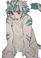 anthro blue_body blue_fur clothing felid fur hair hi_res kogenta looking_at_viewer male mammal milkytiger1145 onmyou_taisenki pantherine penis_shadow red_eyes shirt simple_background solo tail tiger tongue tongue_out topwear wet white_body white_fur